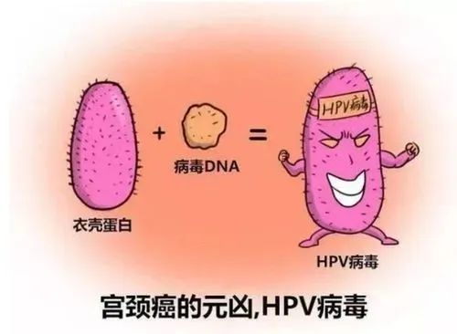 微信圖片_20220422165619.jpg